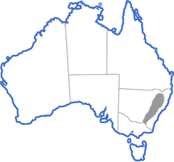 Distribution map for Litoria booroolongensis