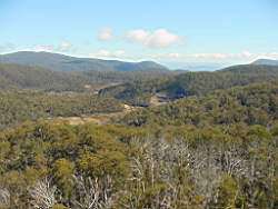 Flying over the high country