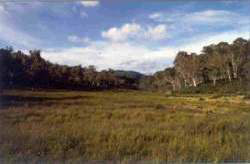 Frost hollow