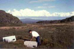 Egg deposition site
