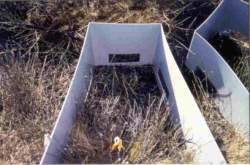 Egg deposition site