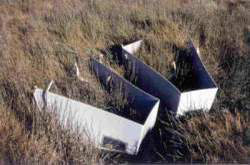 Egg deposition site