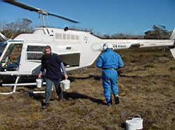 Gerry collecting tadpoles from the helicopter