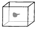 Tadpole kit - conceptual drawing