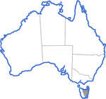 Distribution map for Crinia tasmaniensis