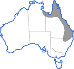 Distribution map for Cyclorana alboguttata