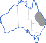 Distribution map for Cyclorana brevipes