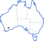 Distribution map for Geocrinia lutea