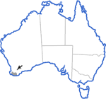Distribution map for Geocrinia rosea