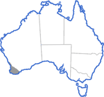 Distribution map for Heleioporus psammophilus