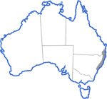 Distribution map for Lechriodus fletcheri