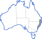 Distribution map for Litoria dentata