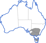 Distribution map for Litoria raniformis