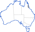 Distribution map for Litoria rheocola