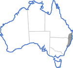 Distribution map for Mixophyes iteratus