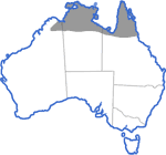 Distribution map for Notaden melanoscaphus