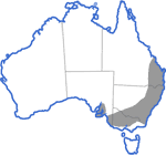 Distribution map for Pseudophryne bibroni