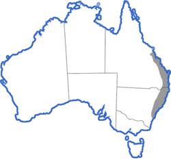 Distribution map for Adelotus brevis