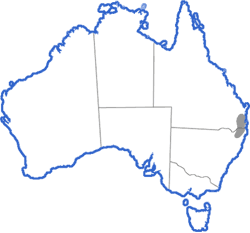 Distribution map for Assa darlingtoni