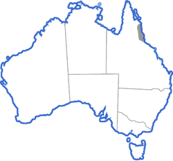 Distribution map for Austrochaperina pluvialis