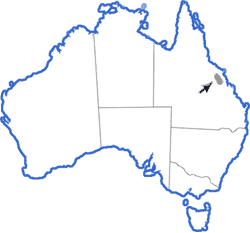 Distribution map for Cophixalus exiguus