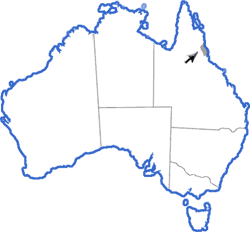 Distribution map for Cophixalus neglectus
