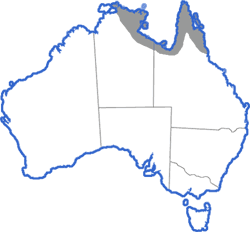 Distribution map for Crinia remota