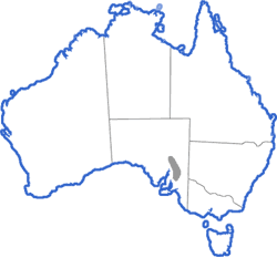 Distribution map for Crinia riparia
