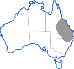 Distribution map for Cyclorana brevipes
