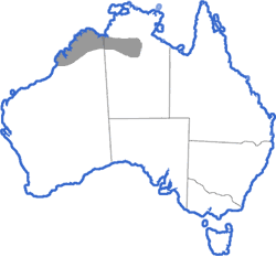Distribution map for Cyclorana cryptotis