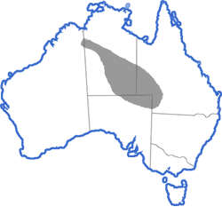 Distribution map for Cyclorana cultripes