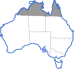 Distribution map for Cyclorana longipes