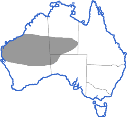Distribution map for Cyclorana maini