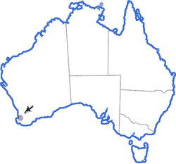 Distribution map for Geocrinia alba