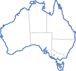 Distribution map for Geocrinia laevis