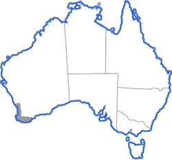 Distribution map for Geocrinia leai