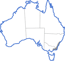 Distribution map for Heleioporus australiacus