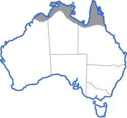Distribution map for Limnodynastes convexiusculus