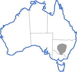 Distribution map for Limnodynastes interioris