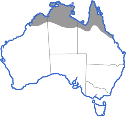 Distribution map for Litoria bicolor
