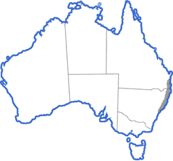Distribution map for Litoria brevipalmata