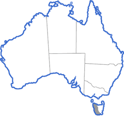 Distribution map for Litoria burrowsae