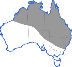 Distribution map for Litoria caerulea