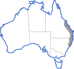 Distribution map for Litoria chloris