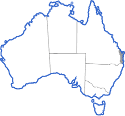 Distribution map for Litoria cooloolensis