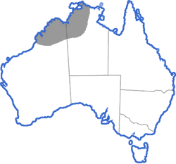 Distribution map for Litoria coplandi