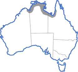 Distribution map for Litoria dahli