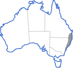 Distribution map for Litoria freycineti