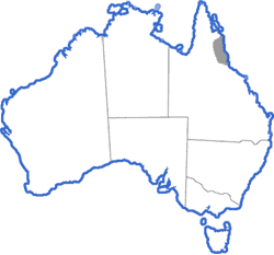 Distribution map for Litoria genimaculata