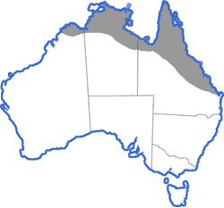 Distribution map for Litoria inermis